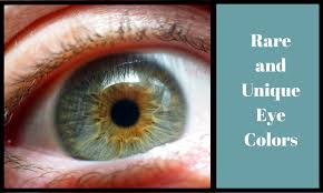 For example, in ireland and scotland, 86% of the population has either blue or green eyes, and in iceland, 89% of women and 87% of men have blue or green eyes. 6 Rare And Unique Eye Colors Owlcation