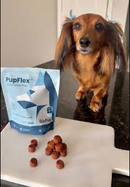 How to Use Bioplus Chews