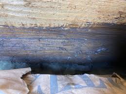 Image result for site:byggahus.se modulhus