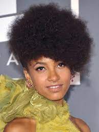 Famous Black African American Female Singers With Natural Hair Natural Hair Styles Natural Hair Twist Out Medium Hair Styles