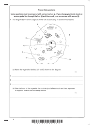 The plant cell as more rigid and stiff walls. 6bi02 01 Que 20120521 Mitosis Cell Biology