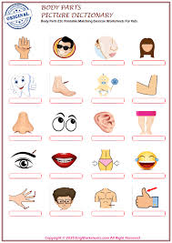 Maybe you would like to learn more about one of these? Body Parts Esl Printable Picture Dictionary Worksheet For Kids Pdf Worksheets 2