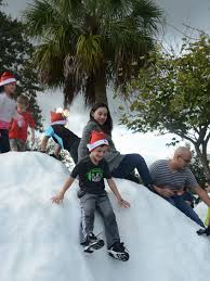 Southwest Florida Anniversary Of Snowfall