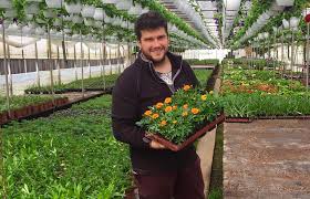 Sere cu inaltimi mari., flori si plante tropicale de dimensiuni mari. Serele De Flori De La CÄƒciulaÅ£i O Pasiune LÄƒsatÄƒ Din TatÄƒ In Fiu Agro Business