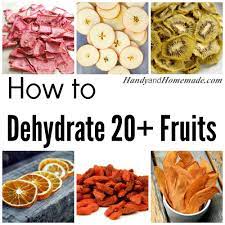 20 How To Dehydrate Fruit Recipes Jpg 1000 1000 Dehydrated Fruit Dehydrator Recipes Fruit Dehydrator Recipes