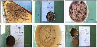 Baranga y darong, santa cruz, davao del sur: Nickel Mines In The Philippines Pandi Claims Management Inc