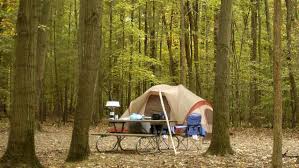Maybe you would like to learn more about one of these? Findley State Park Campground Ohio Department Of Natural Resources