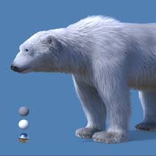 3d Model Realistic Polar Bear Polar Bear Polar Bear