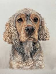 2020 popular 1 trends in men's clothing, mother & kids, cellphones & telecommunications, toys & hobbies with pet funny boys and 1. Pet Portraits From Photos Top Uk Animal Portrait Artist