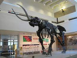 #3 best value of 26 places to stay in jonesboro. 14 Best Things To Do In Jonesboro Arkansas The Crazy Tourist