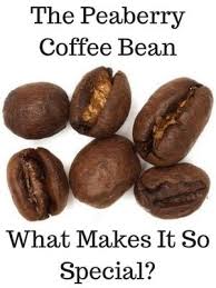 When the water gets hot, the coffee releases its fragrance and flavor. Peaberry Coffee Beans What Are They Do They Taste Better