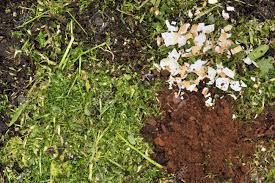 Wetting the card beforehand can also be a big help. Recycling Shredded Green Garden And Household Kitchen Waste Stock Photo Picture And Royalty Free Image Image 81615497