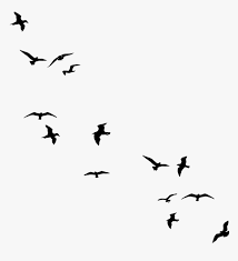 Subscribe to envato elements for unlimited stock video downloads for a single monthly fee. Bird Flight Silhouette Drawing Flock Birds For Double Exposure Hd Png Download Transparent Png Image Pngitem