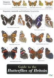 Guide To The Butterflies Of Britain Field Studies Council