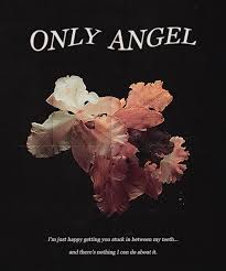 ترجمه و معنی با توضیحات آهنگ Only Angel از Harry Styles