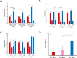 A member of the governing people's action party, he previously served as minister of manpower from 2008 to 2011. Glutaminase 2 Expression Is Associated With Regional Heterogeneity Of 5 Aminolevulinic Acid Fluorescence In Glioblastoma Scientific Reports