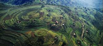 Rwanda, officially the republic of rwanda, is a landlocked country in the great rift valley, where the african great lakes region and east africa converge. Central And Eastern Rwanda Everything To Know Discover Africa Safaris