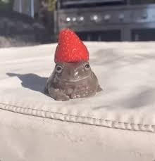 Comments appear on our site once they are reviewed (usually it takes up to 1 hour). Strawberrie Gifs Get The Best Gif On Giphy