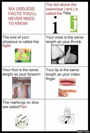 R/technicallythetruth is freakin' full of them. 35 Random Funny Pictures Click To See Full List Funny Facts Usless Facts Fun Facts