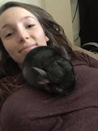 I'm wanting a new puppy for Christmas, I've heard chinchillas are lovely,  does anyone have any experience with one? 👀