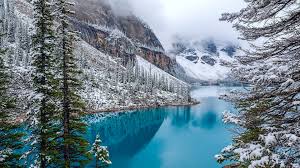 Snow Mountain Lake Wallpapers Top Free Snow Mountain Lake Backgrounds Wallpaperaccess Swan, bird, couple, lake, grass, mountains.