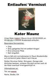 Erstellen,,, katze suchplakat, suchplakat für katzen erstellen, suchplakat, erstellen von suchplakat, augen verklebt katze, kostenlose vorlage suchplakat katze. Katze Entlaufen Was Tun Ein Ratgeber Vom Haustiermagazin