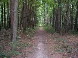 This was our first time horseback riding. Hoosier National Forest Brown County D Trail