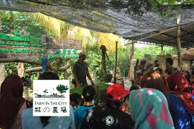 The staff are nice too. Farm In The City Goticket My