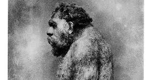 Due ricostruzioni di un uomo di neanderthal, esposte al rheinisches landesmuseum di bonn, in un'immagine d'archivio ansa. Neanderthal Ritratto Di Un Sofisticato Uomo Delle Caverne