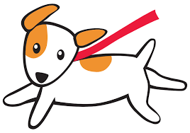 Dog Walking, Training, and Sitting