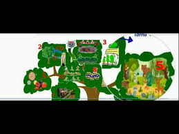 Ce faci cu acești bani? Padurea Valoarea Si Importanta Ei Pentru Viata Youtube