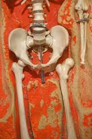 Check spelling or type a new query. Creative Ways To Make A Model Of A Skeleton For A Third Grade Project
