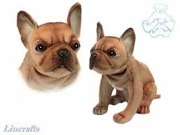 For those loyal french bulldog owners who adore buying items or toys inspired by their little gremlins, we've prepared this box plush… French Bulldog Plush Soft Toy By Hansa 20cml 6596 For Sale Online Ebay