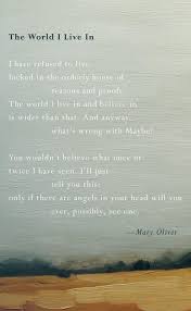 Mary Oliver Only If There Are Angels On Your Head Will You Ever Possibly See One Mary Oliver Quotes Mary Oliver Poems Poetry Words