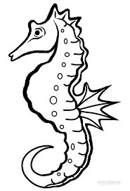 Printable Seahorse Coloring Pages For Kids Horse Coloring Pages Seahorse Drawing Horse Coloring