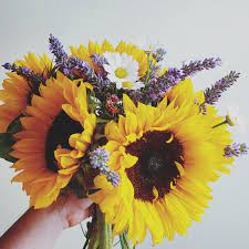 Herb bouquet lavender bouquet lavander eucalyptus bouquet seeded eucalyptus dried lavender wedding lavender weddings bouquet wrap rustic bouquet. Sunflower And Lavender Bouquet For A Summer Wedding I D Add Some More Lavender And Some White Dah Sunflower Wedding Bouquet Lavender Bouquet Sunflower Wedding
