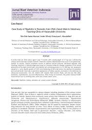 Download jurnal sistem urinaria for free. Pdf Case Study Of Nephritis In Domestic Cats Felis Catus Male In Animal Education Clinic Of Hasanuddin University