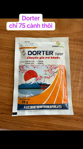 Dorter 750WP