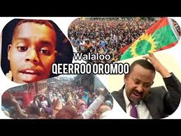 Wifi warden is a comprehensive app where you can check important information for the wifi network you're connected to with just a glance. Download Walaloo Oromo Mp4 Mp3 Gidiportal Netnaija Fzmovies