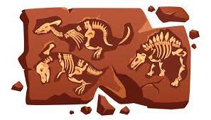 There is a side mission in the game called a test of faith which requires you to collect a total of 30 dinosaur bones. Dinosaur Skeleton Images Free Vectors Stock Photos Psd