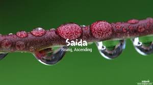 Sweetest saida ever #saida pic.twitter.com/ocqmgeh1k8. Ø³ÛŒØ¯Û Saida Name Meaning In Urdu Arabic Names For Girls