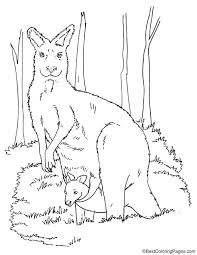 Kangaroo With Joey Coloring Page In 2020 Coloring Pages Coloring Pages For Kids Disney Alphabet