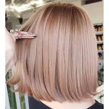 Honey blonde is a hair colour with a blend of light brown and sunkissed blonde with warm gold tones. Ash Rose Blonde Or Rose Bronze Blonde Sepia Tones Ash Hair Color Hair Color Rose Gold Gold Hair Colors