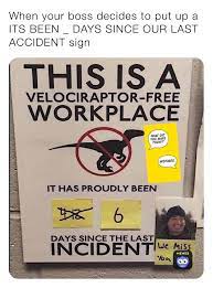 When Your Boss Decides To Put Up A Its Been Days Since Our Last Accident Sign Catsareliquids Memes