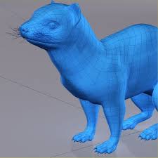 3d Model Ferret 3d Model Model Ferret