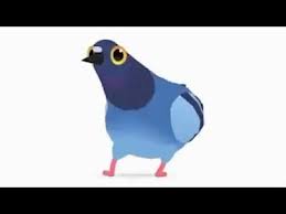 Birds Dancing To Music Youtube Pigeon Birds Dancing To Music Funny Youtube In 2020 Pigeon Bird Pigeon Funny Bird Meme
