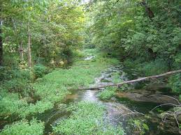 Beaver creek valley state park is a state park of minnesota, united states, featuring a steep, narrow valley carved by east beaver creek. Beaver Creek Valley State Park A Minnesota State Park Located Near La Crosse