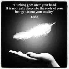 Many Blessings Of Love Light Peace And Joy Tasia Life Live Love Heart Harmony Happiness Gratitude Pe Osho Buddhist Words Spiritual Attack