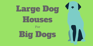 Large dogs usually love spending time outdoors, but most will appreciate having a nice big dog house to keep them warm and dry when the. 2021 S Best Large Dog Houses For Big Dogs Great Danes Mastiffs Etc