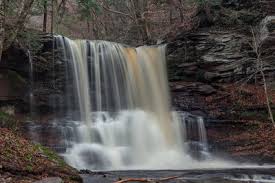 And with an early start, it'll seem like you're the only ones hiking on your section of the trail. Hiking Trails Near Ricketts Glen State Park